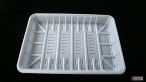 從海洋到潮流 食品、海鮮與電子五金托盒的綜合產銷藍圖